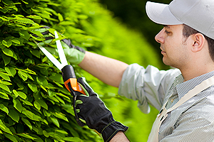 kertgondoz�s Balatonm�riaf�rd�