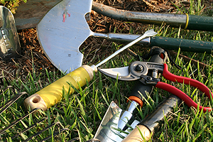 kertgondoz�s Balatonm�riaf�rd�